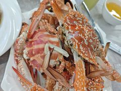 -众味海鲜大排档·活海鲜·潮汕味(南澳店)