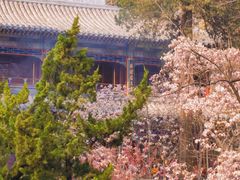 -潭柘寺景区