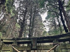 -上色见熊野座神社