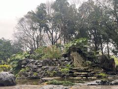 -柳侯公园