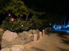 -新川办餐厅