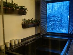 -春晖园度假酒店温泉