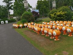 -上海长兴岛郊野公园