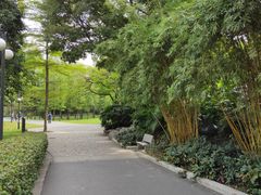 景点-晓港公园