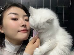 -翊宠yipet猫狗购宠庄园犬舍•猫舍