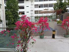 -流花苑精致潮粤菜(越秀店)