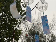 -天目湖涵田度假村