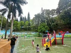 -广州市流溪河国家森林公园