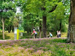 -白鹭湾湿地公园