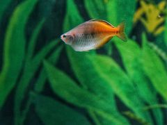 -上海海洋水族馆