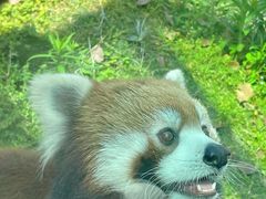 -无锡动物园·太湖欢乐园