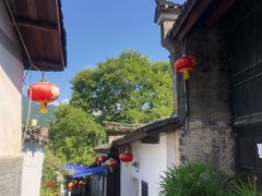 -后柳水乡