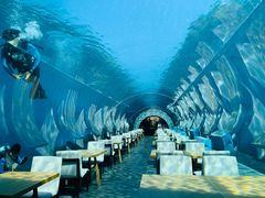 -涛·海底餐厅·美人鱼·自助餐·海底隧道(三亚海棠湾洲际度假酒店)