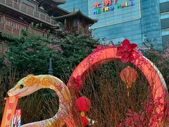 -越秀西湖花市(广州城市广场花卉店)