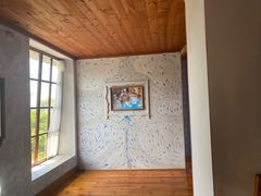 -金山农民画村-枫泾波兰倒置屋