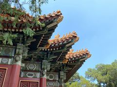 -故宫博物院(故宫)