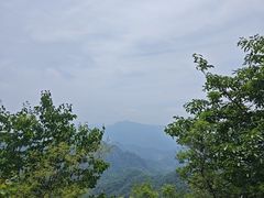 -大岭沟猕猴桃谷风景区