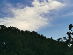 -家阳赵师傅油饼包烧麦(粮道街店)