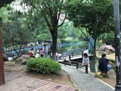 -白马涧龙池景区