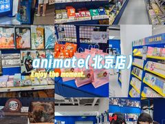 -animate(北京店)