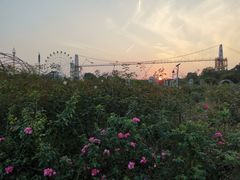 -花博汇(知音花月夜)