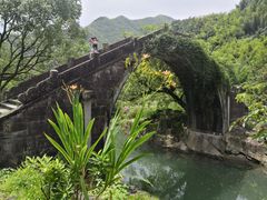 -鹿亭中村