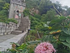 -青岩古镇