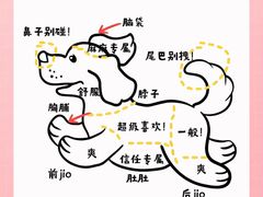 -FAELING PETS美天灵宠物(合生汇店)