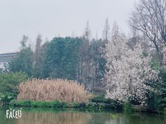 -成都杜甫草堂博物馆