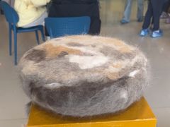 -平行世界·猫咖(首经贸店)
