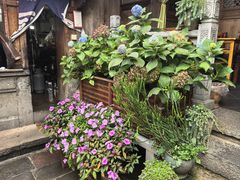 -龙姐私房菜(和顺古镇店)