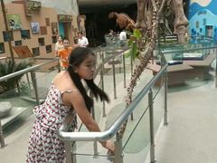 -陕西自然博物馆