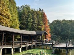 -溱湖国家湿地公园