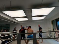 -EFL巴西柔术·综合格斗·泰拳·少儿体能训练(虹桥德必馆)