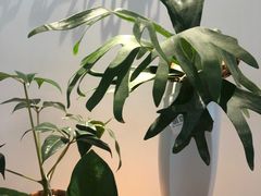 -fishtank鱼缸咖啡(三山街店)