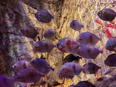 -沈阳海洋探索中心