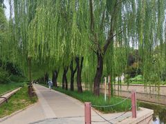 -元大都城垣遗址公园