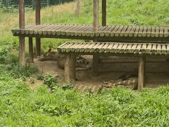 -无锡动物园·太湖欢乐园