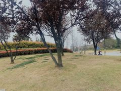 -两河城市森林公园