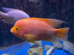 -多彩贵州城极地海洋世界