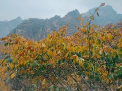 -圣莲山风景区
