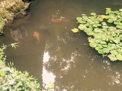 黄龙洞圆缘民俗园-杭州黄龙洞