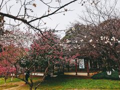 -杭州植物园