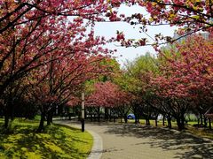 -苏州河梦清园环保主题公园