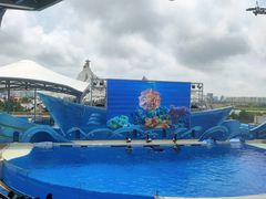 -上海海昌海洋公园