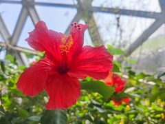 -上海辰山植物园