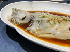 -金狮麟·新豫菜(金码大厦店)