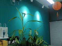 -梨园照相馆(北京店)