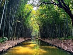 -同里国家湿地公园