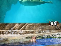 -香港海洋公园